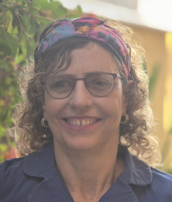 כלנית שפיצר