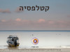 קטלפסיה